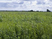 077-418, S, 2011-07-02, NL-R. Kruit, 077500-418450, Korendijk