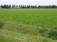 078-409, OostFlakkee