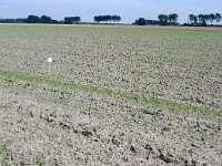 079-409, O, 2011-08-20, NL- RIK KRUIT, 079502-409381, OOSTFLAKKEE