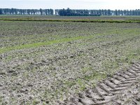 079-409, Z, 2011-08-20, NL- RIK KRUIT, 079409-409381, OOSTFLAKKEE