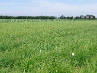 079-410, OostFlakkee