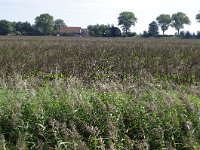 079-412, OostFlakkee