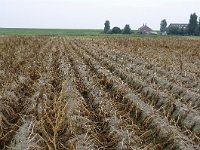 079-414, Oostflakkee