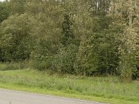 079-424, Korendijk, Bernisse