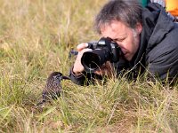 Nucifraga caryocatactes 15, Notenkraker, Saxifraga-Bart Vastenhouw