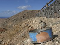 Anthus berthelotii 3, Berthelot's pieper, Saxifraga-Rob Felix : Animalia, Aves, Chordata, animal, bird, dier, dieren, gewervelde dieren, vertebraat, vertebrate, vogel, vogels