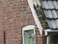 Athene noctua 40, Steenuil, Saxifraga-Mark Zekhuis