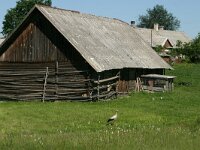 Ciconia ciconia 37, Ooievaar, Saxifraga-Hans Boll