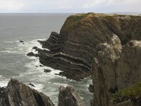 Ciconia ciconia 38, Ooievaar, Saxifraga-Rob Felix : Animalia, Aves, Chordata, animal, bird, dier, dieren, gewervelde dieren, vertebraat, vertebrate, vogel, vogels