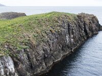 Fratercula arctica 37, Papegaaiduiker, Saxifraga-Peter Stein