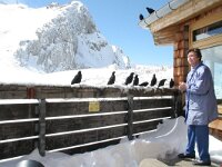 Pyrrhocorax graculus 7, Alpenkauw, Saxifraga-Mark Zekhuis