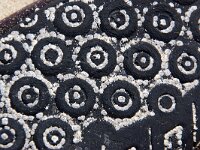 Semibalanus balanoides 5, Gewone zeepok, Saxifraga-Foto Fitis-Sytske Dijksen