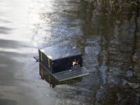 Ondatra zibethicus 2, Muskusrat, trap-cage, Saxifraga-Roel Meijer