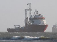 Phocoena phocoena 15, Bruinvis, Saxifraga-Foto Fitis-Sytske Dijksen