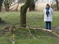 Vulpes vulpes 84, Vos, Saxifraga-Mark Zekhuis