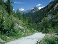 Erebia mnestra 1, Alpen-zijde erebia, habitat, I, Aosta, Val Veny, Vlinderstichting-Kars Veling