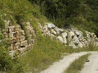 Hipparchia fagi 3, Grote boswachter, habitat, F, Isere, Miribel-Lanchatre, Saxifraga-Marijke Verhagen
