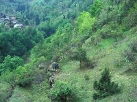 Hyponephele lycaon 2, Grauw zandoogje, habitat, I, Aosta, Pondel, Vlinderstichting-Kars Veling