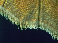 258_32, Maniola jurtina : Maniola jurtina, Meadow Brown, Bruin zandoogje, hindwing upperside