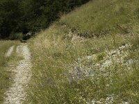 Plebeius idas 4, Vals heideblauwtje, habitat, F, Drome, Treschenu Creyers, Col de Menee, Saxifraga-Marijke Verhagen