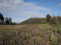 Pseudophilotus baton 8, Klein tijmblauwtje, habitat, F, Var, Callas, Saxifraga-Kars Veling