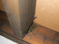 Aglais urticae 78, Kleine vos, hibernating in the attic, Saxifraga-Kars Veling