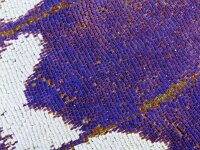 279_20, Apatura iris : Apatura iris, Purple Emperor, Grote weerschijnvlinder, upperside, iridenscence, male