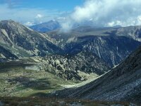 Boloria pales, Shepherds Fritillary