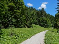 Boloria thore 3, Thor's parelmoervlinder, habitat, Sägertal (Germany), Saxifraga-Kars Veling