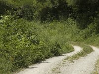 Brenthis daphne 11, Braamparelmoervlinder, habitat, F, Isere, Miribel-Lanchatre, Saxifraga-Marijke Verhagen