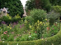 Celastrina argiolus 39, Boomblauwtje, habitat, NL, Gelderland, Oosterbeek, Saxifraga-Kars Veling