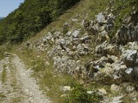 Hipparchia fagi 4, Grote boswachter, habitat, F, Drome, Treschenu Creyers, Col de Menee, Saxifraga-Marijke Verhagen