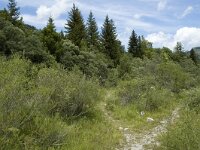 Plebeius idas 5, Vals heideblauwtje, habitat, F, Isere, Gresse-en- Vercors, La Ville, Saxifraga-Marijke Verhagen