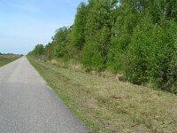 Pyrgus malvae 9, Aardbeivlinder, habitat, Vlinderstichting-Henk Bosma