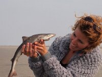 common smooth-hound (mustelus mustelus)  Woman is looking in the mouth of a common smooth-hound (mustelus mustelus) : animal, atlantic, beach, broadkill, coast, common, dogfish, finger, fish, fisheries, gamefish, gladde, hand, inspecting, laughing, looking, mustelus, mustelus mustelus, northsea, ocean, people, places, sand, sea, sealife, shark, shore, smooth-hound, spiney, surf, thumb, united, waddensea, water, wildlife, woman, zandhaai