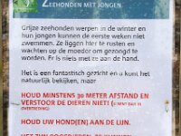 Halichoerus grypus 156, Grijze zeehond, Saxifraga-Bart Vastenhouw