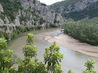 Arbutus andrachne 4, Saxifraga-Dirk Hilbers