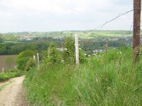 Bromus erectus 5, Bergdravik, Saxifraga-Rutger Barendse