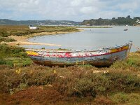 Cistanche phelypaea 16, Saxifraga-Ed Stikvoort