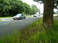 Epipactis helleborine 6, Brede wespenorchis, Saxifraga-Hans Dekker  JENOPTIK DIGITAL CAMERA