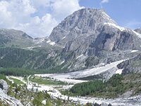 Rhodothamnus chamaecistus 24, habitat, Saxifraga-Harry Jans