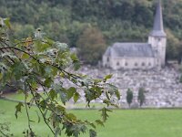 Sorbus torminalis 3, Elsbes, Saxifraga-Rutger Barendse