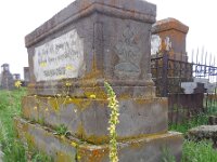 Verbascum laxum 3, Saxifraga-Ed Stikvoort