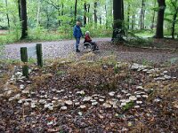 Clitocybe nebularis 12, Nevelzwam, Saxifraga-Foto Fitis-Sytske Dijksen