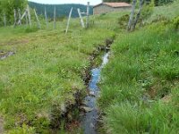 Mitrula paludosa 21, Beekmijtertje, Saxifraga-Ed Stikvoort : Col de la Loge en Sagne Bourrue en La Pigne s9900