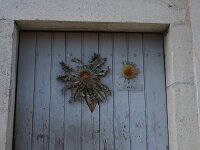 Carlina acanthifolia 12, Saxifraga-Dirk Hilbers