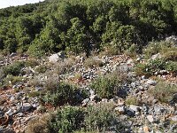 Crocus niveus 11, habitat, Saxifraga-Harry Jans