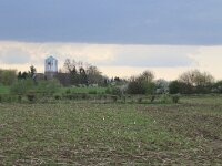 Prunus spinosa 48, Sleedoorn, Saxifraga-Hans Boll
