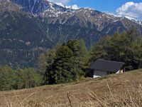Pulsatilla vernalis 8, Saxifraga-Jeroen Willemsen