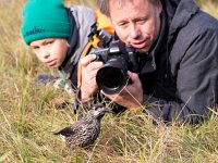 Nucifraga caryocatactes 16, Notenkraker, Saxifraga-Bart Vastenhouw